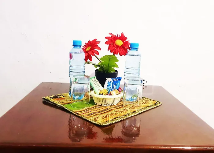 Amira's House